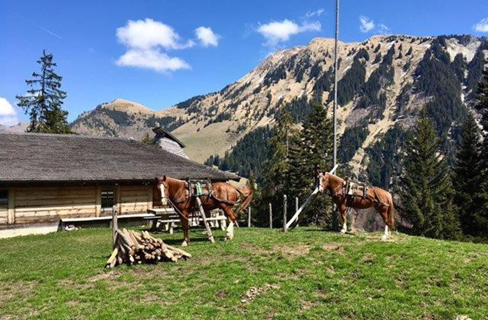 Nature excursions at Rosey