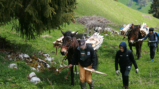 Helping farmers in the Jura as part of Cadets' Service Learning