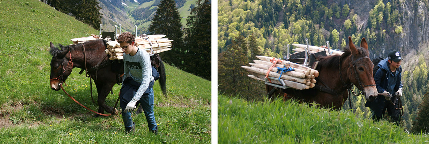 Service Learning - helping farmers in the Jura