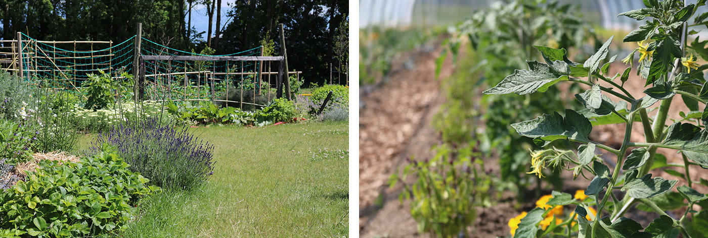 Permaculture garden at Le Rosey